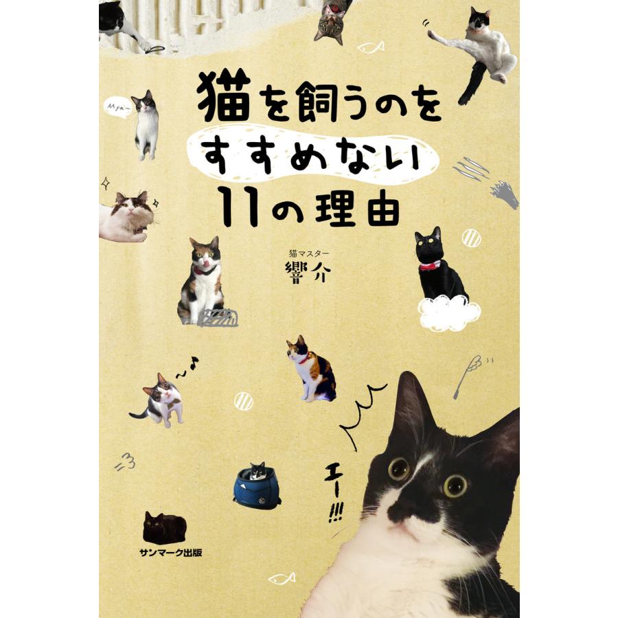 猫を飼うのをすすめない11の理由