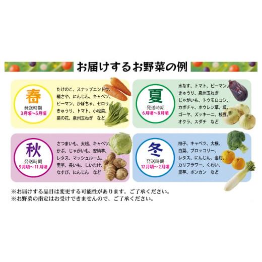 ふるさと納税 大阪府 泉佐野市 泉州野菜 定期便 全3回 7種類以上 詰め合わせ 国産 新鮮 冷蔵