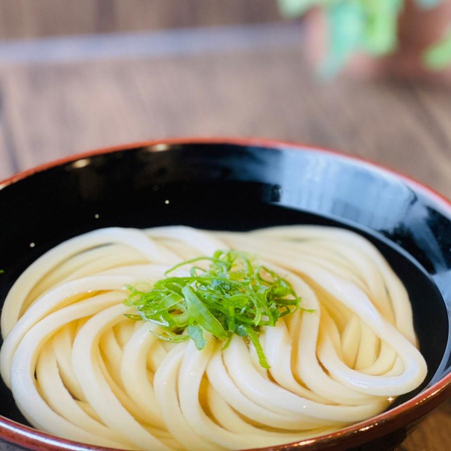 瀬戸内讃岐生うどん 6食セット うどん 麺類 讃岐うどん 生うどん