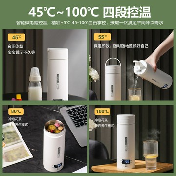 臺灣110V美規便攜式燒水壺小型調溫辦公室旅行電加熱水杯日規日本