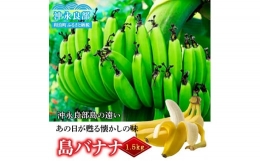  まるとよ農産の島バナナ 1.5キロ