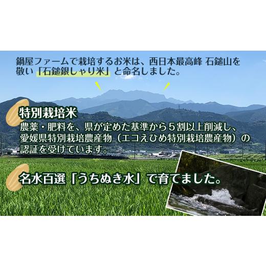 ふるさと納税 愛媛県 西条市 「石鎚銀しゃり米」 玄米ごはん パックごはん 12個セット　ヒノヒカリ 特別栽培米 玄米 