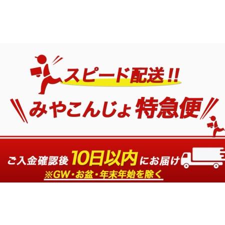 ふるさと納税 宮崎牛(A5)ローススライス500g≪みやこんじょ特急便≫_AD-0102-Q_(都城市) 10日以内お届け 宮崎牛ロース薄切り肉 500g×1パッ.. 宮崎県都城市