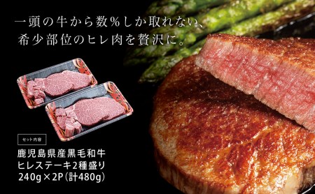 A4等級以上黒毛和牛ヒレステーキ2種480g (ステーキカット・サイコロカット） 黒毛和牛 ヒレ ステーキ 冷凍 カミチク