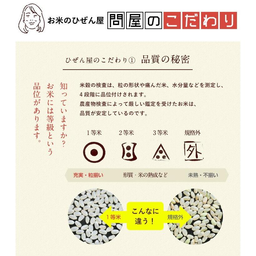 新米　お米 5kg 送料無料 さがびより 佐賀県産　令和5年度 5kg