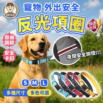 反光項圈【布萊恩👨🏻隔日到貨】狗項圈 狗頸圈 寵物用品 外出項圈 外出用品 夜間遛狗 貓項圈 夜用項圈 寵物配件