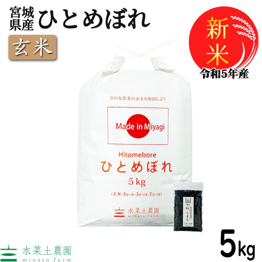 新米 米 お米 米5kg 玄米 ひとめぼれ 令和5年産 宮城県産 古代米お試し袋付き