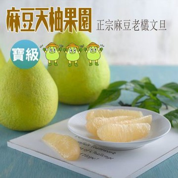 麻豆天柚果園 寶級文旦10斤/箱 (約16-22顆/箱) (中秋送禮)