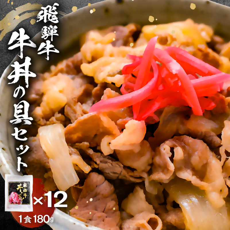 飛騨牛　牛丼の具12食セット