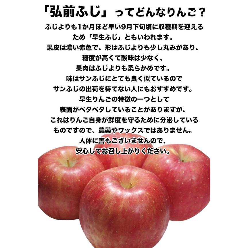 りんご 10kg箱 訳あり 青森県産 弘前 ふじ 9kg以上 家庭用 お試し サイズお任せ apple020-hf010 SDGS ご家族 家庭向けお歳暮ギフト クリスマスの食卓に 送料無料