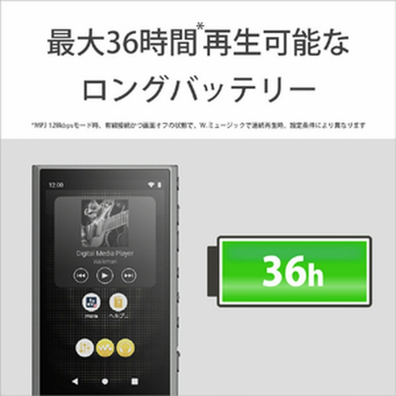 SONY A300シリーズNW-306 ブラック