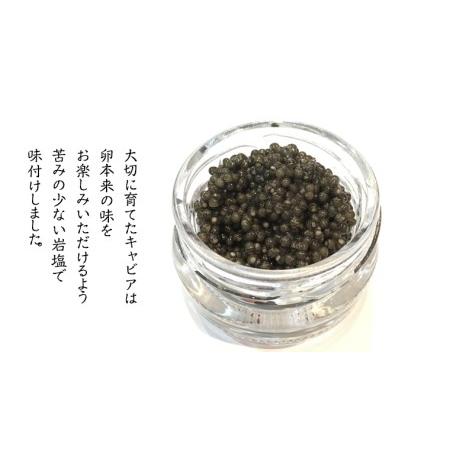 ふるさと納税  つくばスタージョン キャビア 20ｇ×1 キャビア 高級食材 記念日 誕生日 世界三大珍味 国産キャビ.. 茨城県桜川市