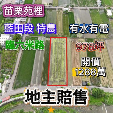 專任｜苑裡藍田大面寬臨路農地｜苗栗縣苑裡鎮藍田段