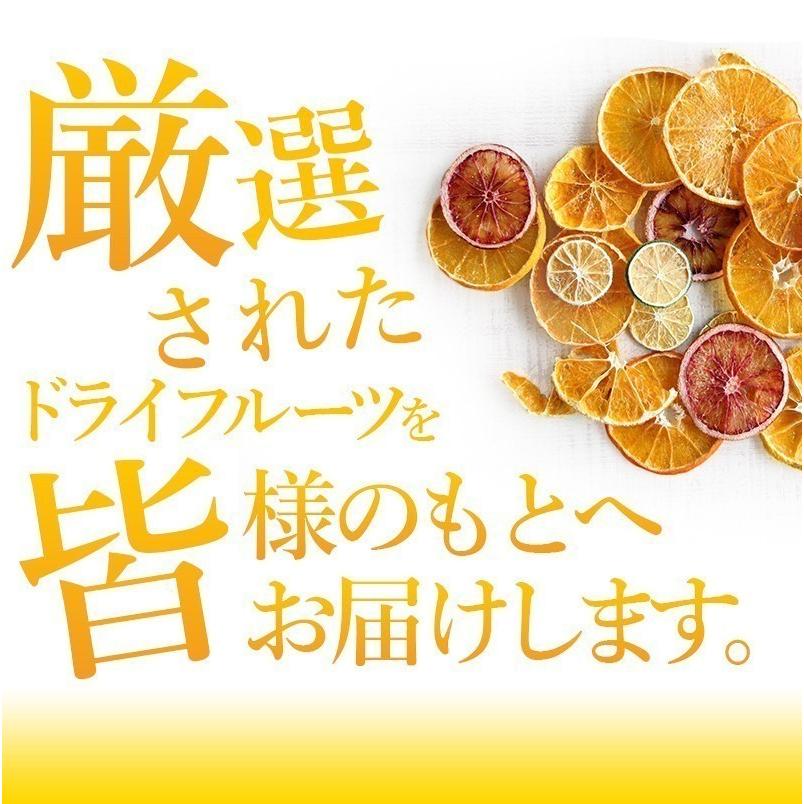 大容量 ドライフルーツ 500g 国産 河内晩柑 ピール 業務用 おやつ 美容 健康 送料無料 げんき本舗