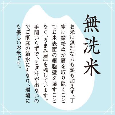 ふるさと納税 十日町市 魚沼産コシヒカリ　無洗米2kg×1