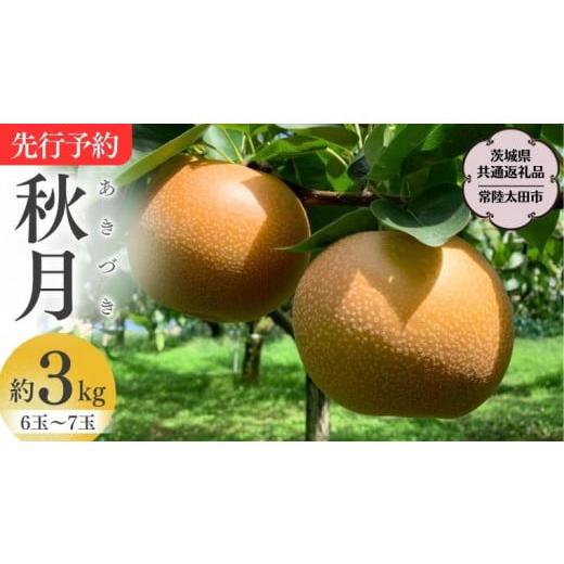 ふるさと納税 茨城県 桜川市  茨城県産 梨 秋月 約3kg 6玉〜7玉 桧山果樹園 農家直送 桧山果樹園 農家直送 フ…