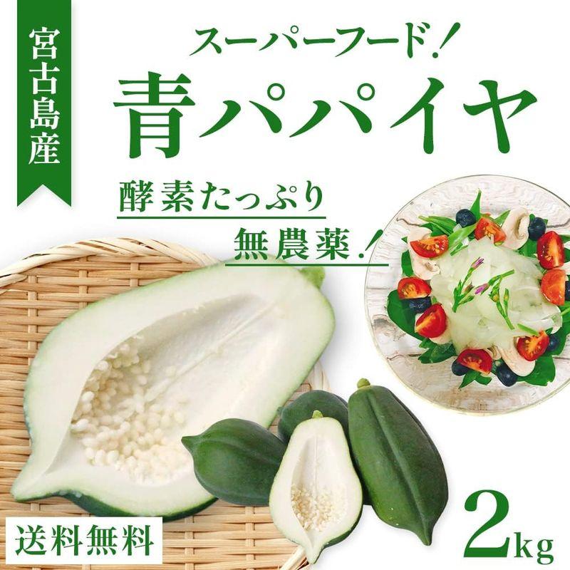 無農薬 青パパイヤ 2kg（約2?4玉）沖縄産 宮古島から産地直送野菜 パパイヤ フレッシュ酵素の王様