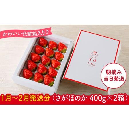 ふるさと納税 王様のいちご さがほのか 800g（400g×2箱）フルーツ 果.. 佐賀県江北町