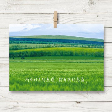 久別重逢 / 明信片(J4)