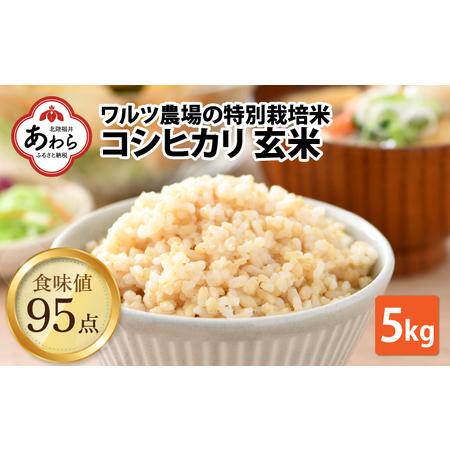 ふるさと納税 ワルツ農場のコシヒカリ 玄米 5kg 特別栽培米減農薬 有機肥料使用  ／ お米 .. 福井県あわら市