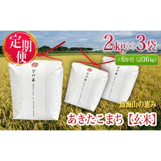 ふるさと納税 秋田県 にかほ市 《定期便》6kg×6ヶ月 秋田県産 あきたこまち 玄米 2kg×3袋 神宿る里の米「ひの米」（お米 小分け）