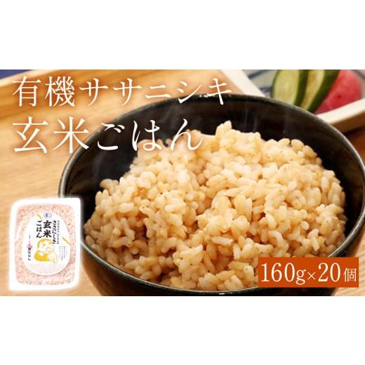 ふるさと納税 宮城県 石巻市 パックご飯 有機ササニシキ 玄米ごはん 160g × 20個 宮城県産