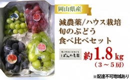 ぶどう 2024年 先行予約 旬のぶどう食べ比べセット 約1.8kg 3～5房 減農薬／ハウス栽培 ブドウ 葡萄  岡山県産 国産 フルーツ 果物 ギフト ばんの農園 [№5220-0484]