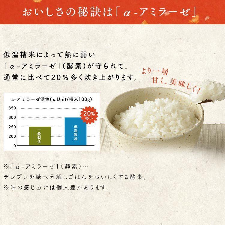 米5kg 送料無料 無洗米 宮城県産 だて正夢 米 5kg お米 令和4年産 白米 アイリスオーヤマ