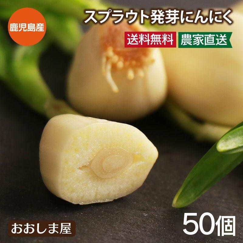 スプラウト発芽にんにく 50個(10個×5袋) 送料無料 鹿児島県 霧島産  ニンニク 川越農園 農家直送 冷蔵便 大嶌屋（おおしまや）