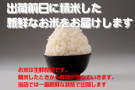 令和5年産岩手県産ひとめぼれ5kg 