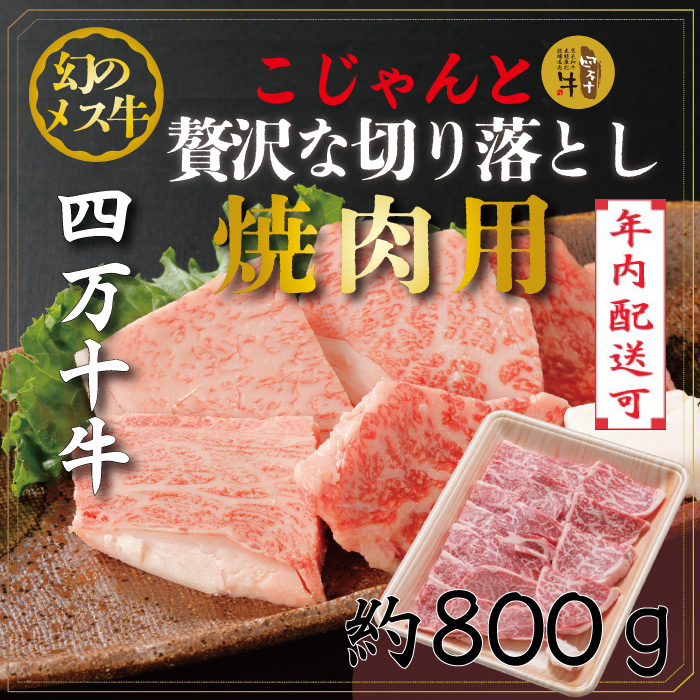 R5-019N．幻のメス牛　四万十牛こじゃんと贅沢な切り落とし（焼肉用・800ｇ）