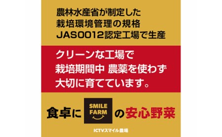 洗わず食べられる！ フリルレタス 8袋