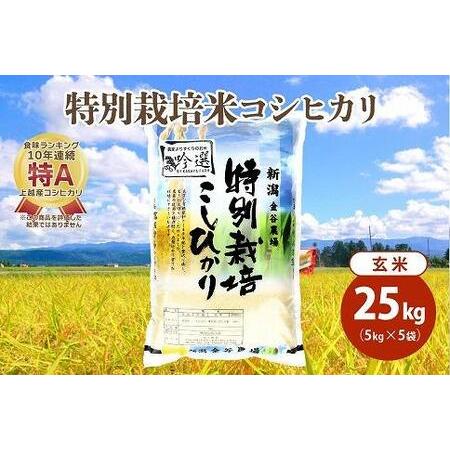 ふるさと納税 令和5年産|新潟上越三和産|特別栽培米コシヒカリ(従来種)25kg(5kg×5)玄米 新潟県上越市