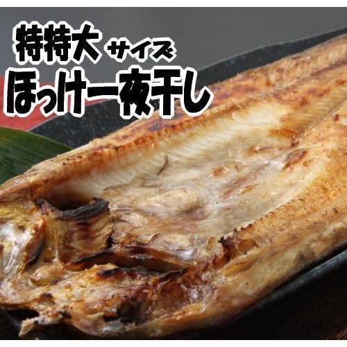 真ほっけ一夜干し 特特大セット 5尾入り 送料無料 ギフト お中元 お歳暮