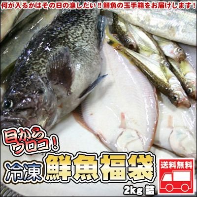 鮮魚を急速冷凍北海道お魚福袋2kg送料無料 御歳暮 クリスマス 正月