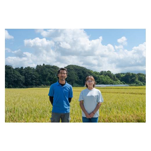 ふるさと納税 山形県 鶴岡市 庄内産もち米の丸餅