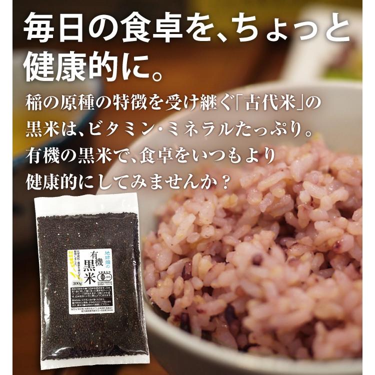 有機黒米 300g (メール便送料無料) 有機JAS 有機米 有機栽培 雑穀米 古代米 玄米 無添加 国産 くろごめ くろまい 紫黒米 紫米