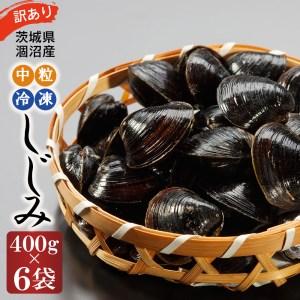 ふるさと納税 訳あり 涸沼産 中粒 冷凍 シジミ 2.4kg （400ｇ×6袋） しじみ 蜆 大和しじみ ヤマトシジミ 大玉 砂抜き済 冷凍 味噌汁 スープ.. 茨城県大洗町