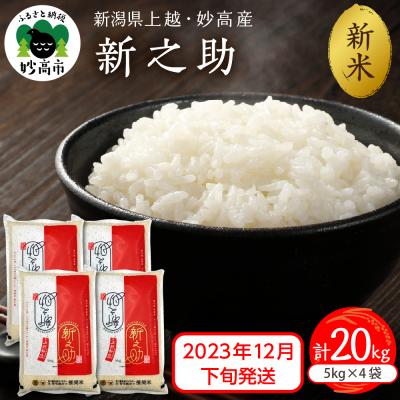 ふるさと納税 妙高市 2023年12月下旬発送　新潟県上越・妙高産 新之助 20kg