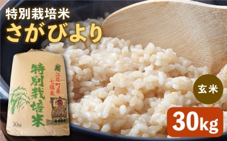 令和5年産 新米 特別栽培米 さがびより 玄米 30kg特A米 特A評価[HAG007]