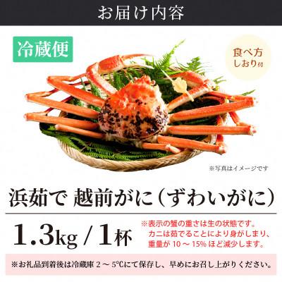 ふるさと納税 越前町 ≪浜茹で≫ 越前がに 特大サイズ(生で1.3kg以上) × 1杯