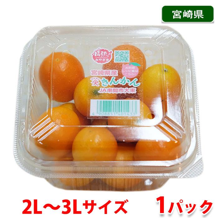 宮崎県産　金柑（きんかん） 秀品　2L〜3Lサイズ　約250g　1パック