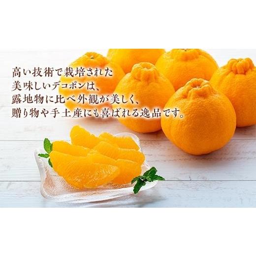 ふるさと納税 香川県 坂出市 ハウスデコポン 約2.8kg 化粧箱入り