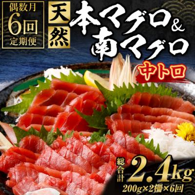 ふるさと納税 室戸市 本マグロ　南マグロ　中トロ　各1柵　偶数月にお届け