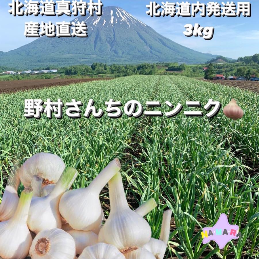 北海道内発送用　野村さんちのニンニク　３kg