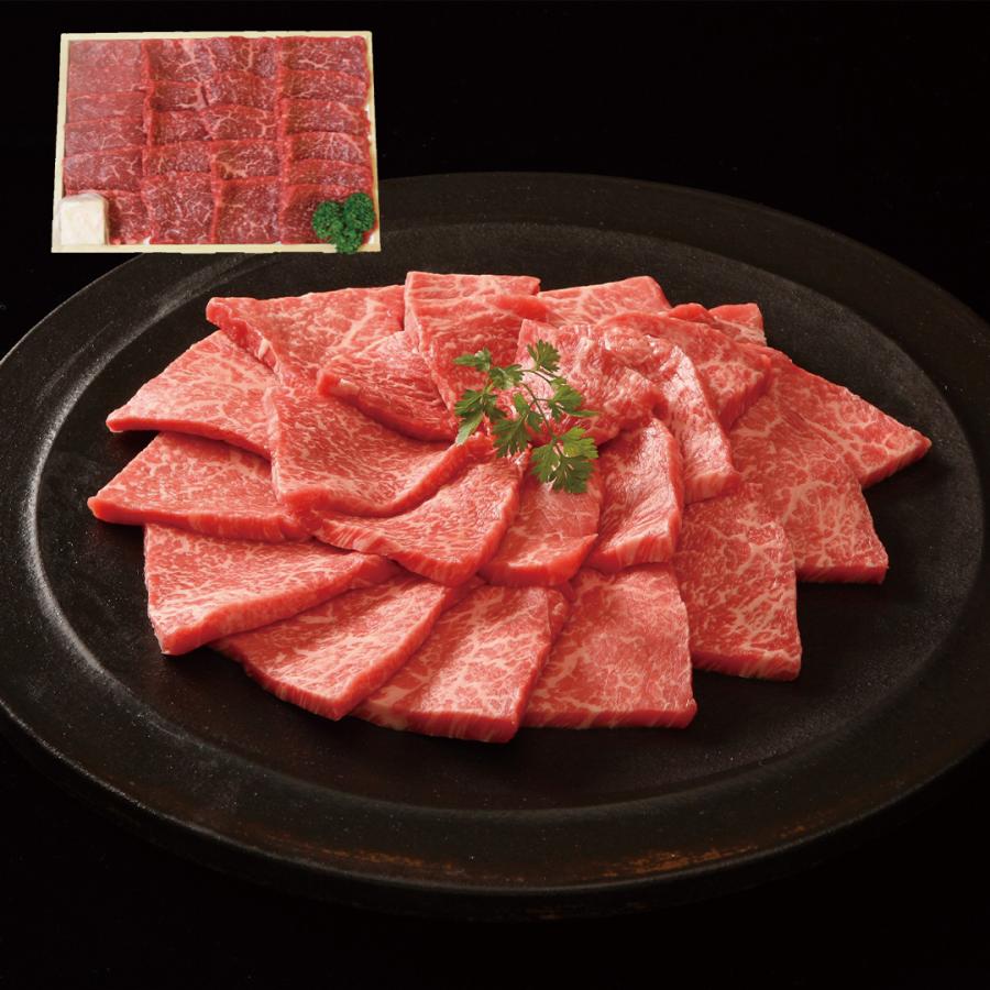 熊本 くまもとの味彩牛 焼肉 モモ500g 