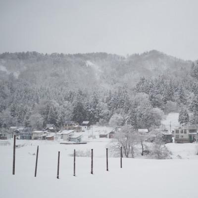 ふるさと納税 新潟県 雪のまちの玄米麹(栽培期間中 農薬・化学肥料不使用)[里山ボタニカル]