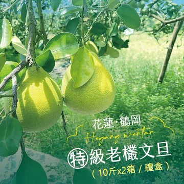 [中秋節快樂]【杰市優果】花蓮鶴岡精選特級50年老欉文旦禮盒10斤x2箱(16-20粒/箱)[指定區間出貨]