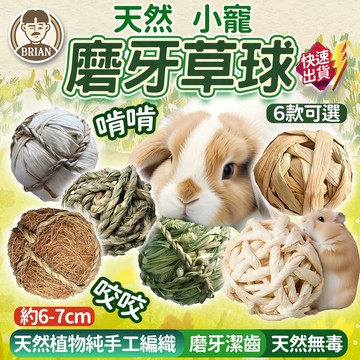 小寵草球【布萊恩👨🏻隔日到貨】兔子玩具 提摩西草球 草球 磨牙草球 牧草球 編織草球 天竺鼠玩具 啃咬玩具 磨牙玩具