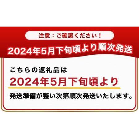 ふるさと納税 宮崎県産完熟マンゴー 太陽のタマゴ化粧箱入り≪2024年5月下旬以降順次お届け≫_34-0102_(都城市) 宮.. 宮崎県都城市